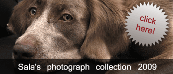 �T���ʐ^�W�@Sala's photograph collection